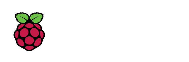 Approvato Raspberry Pi rivenditore