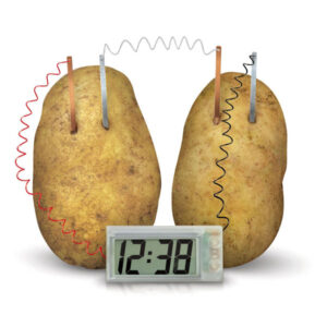Real working potato clock